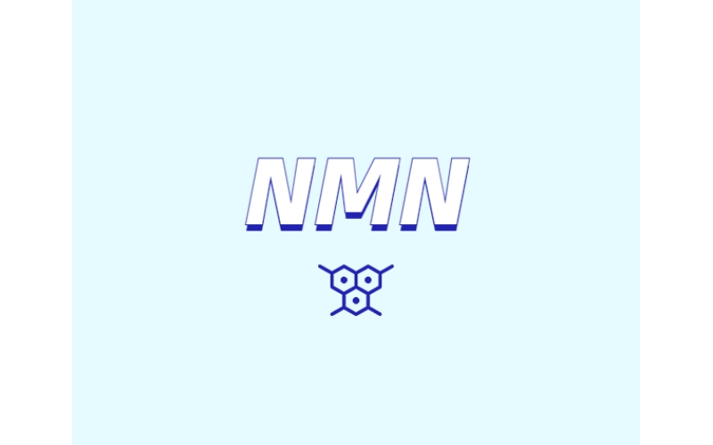 NMN為何是抗衰老研究熱點(diǎn)？
